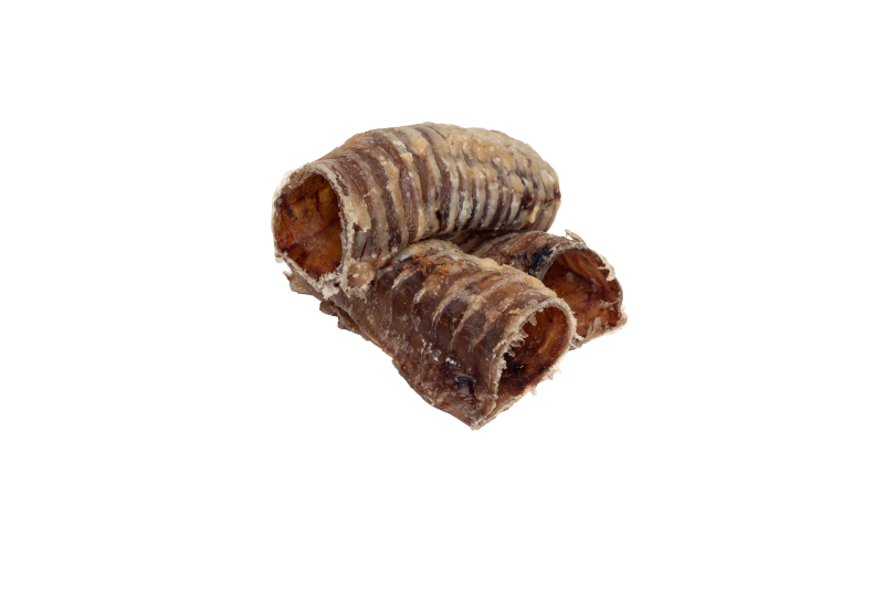 tchawica wołowa 15.beztła