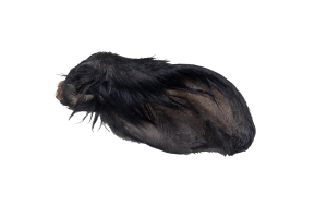 Ucho wołowe z sierścią